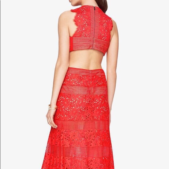 BCBG Maxazria Merida Floral Lace Gown/Dress - Picture 2 of 4